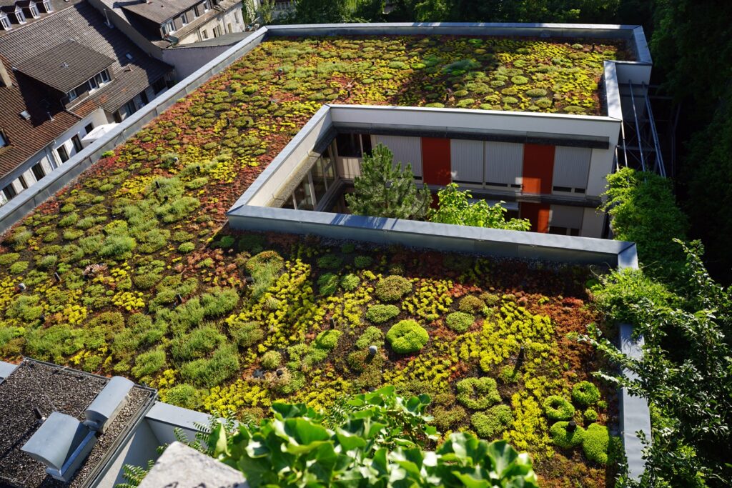Flachdach mit extensiver Begruenung aus Sedum-Pflanzen | Aufbau extensive Dachbegrünung